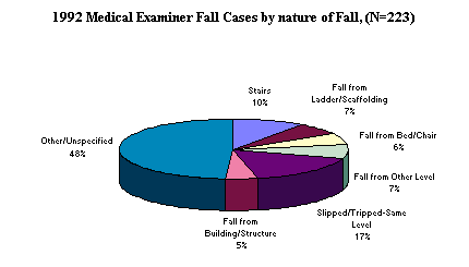 miner Fall Cases by Nature of Fall