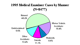 1995 Medical Examiner Cases by Manner
