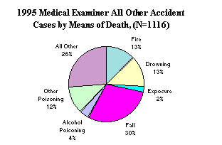 1995 Medical Examiner All Other Accident Cases by Means of Death