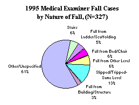1995 Medical Examiner Medical Examiner Fall Cases by Nature of Fall