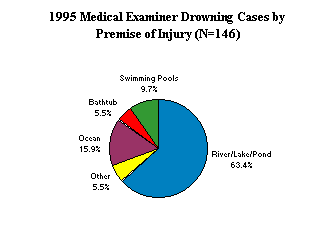 1995 Medical Examiner Drowning Cases by Premise of Injury